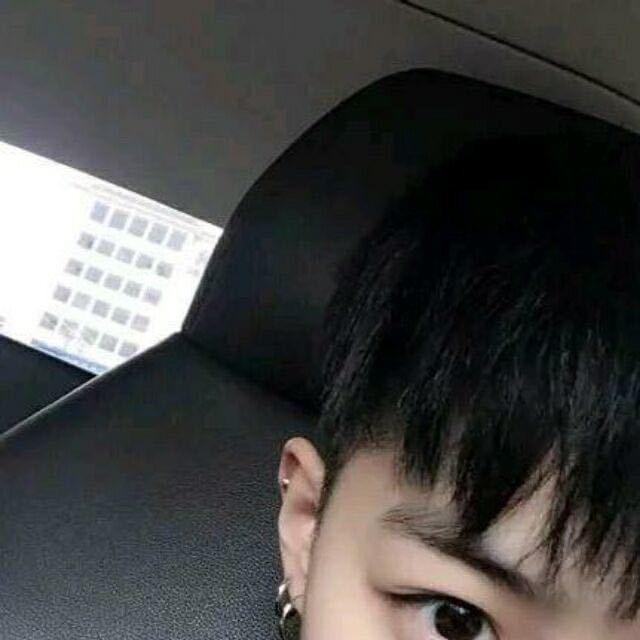 小鳄鱼