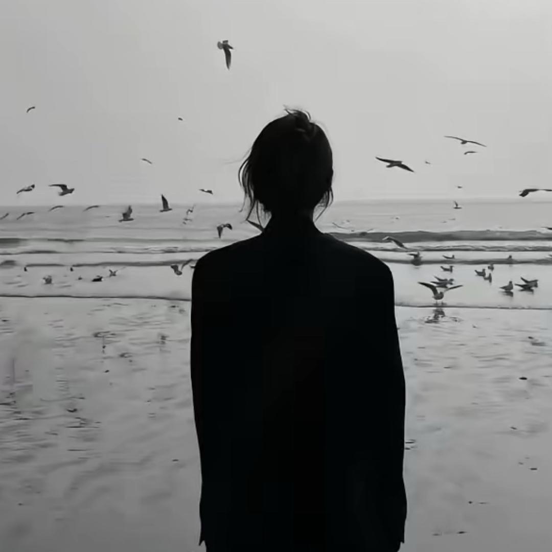 晴晴🦋