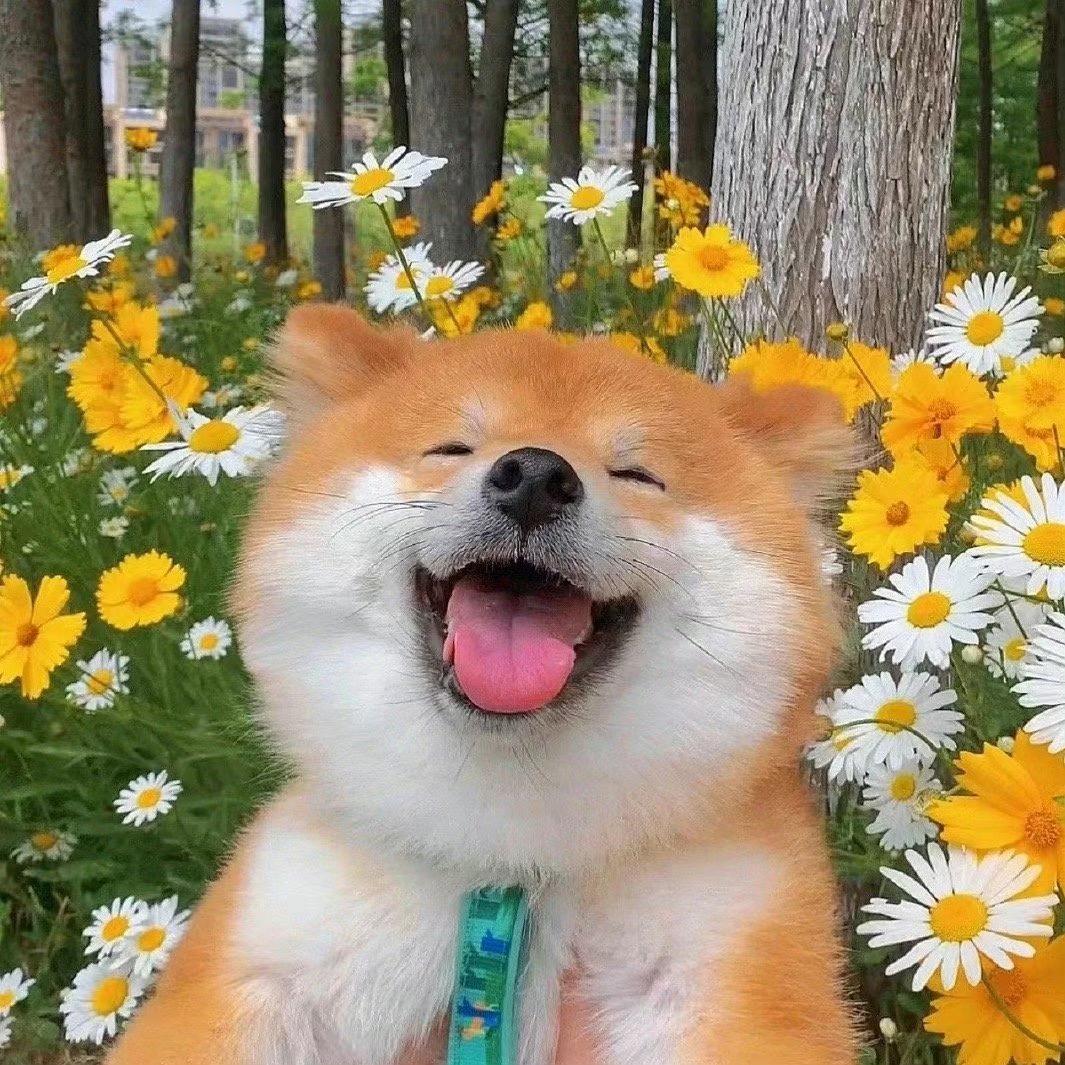 斯斯吖～