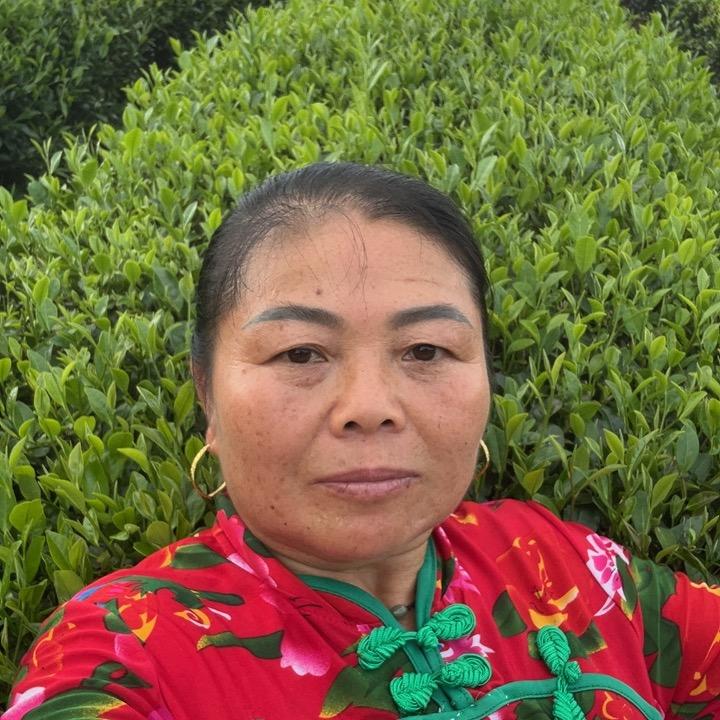 八妹儿