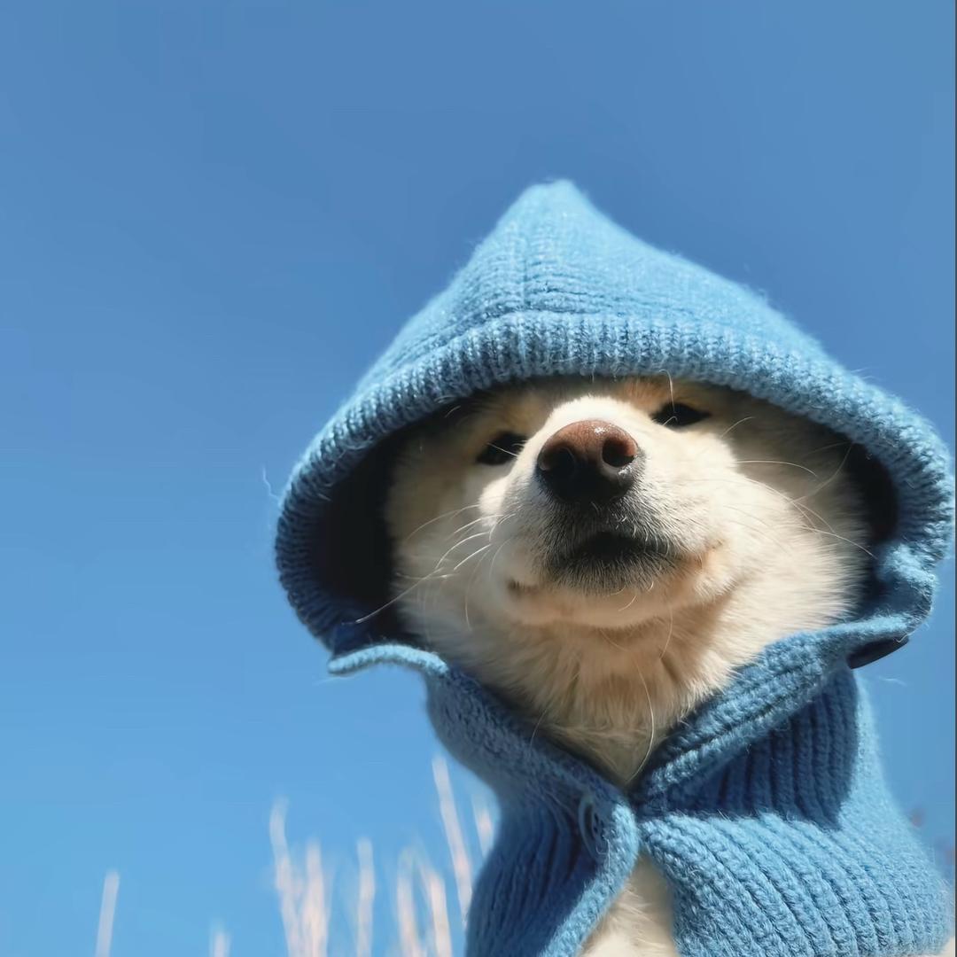 秒睡大王