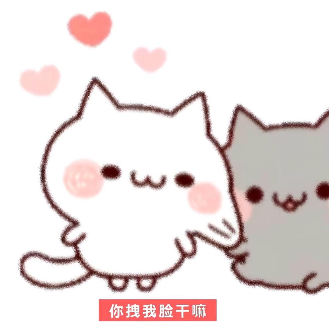 人不傻且非常聪明