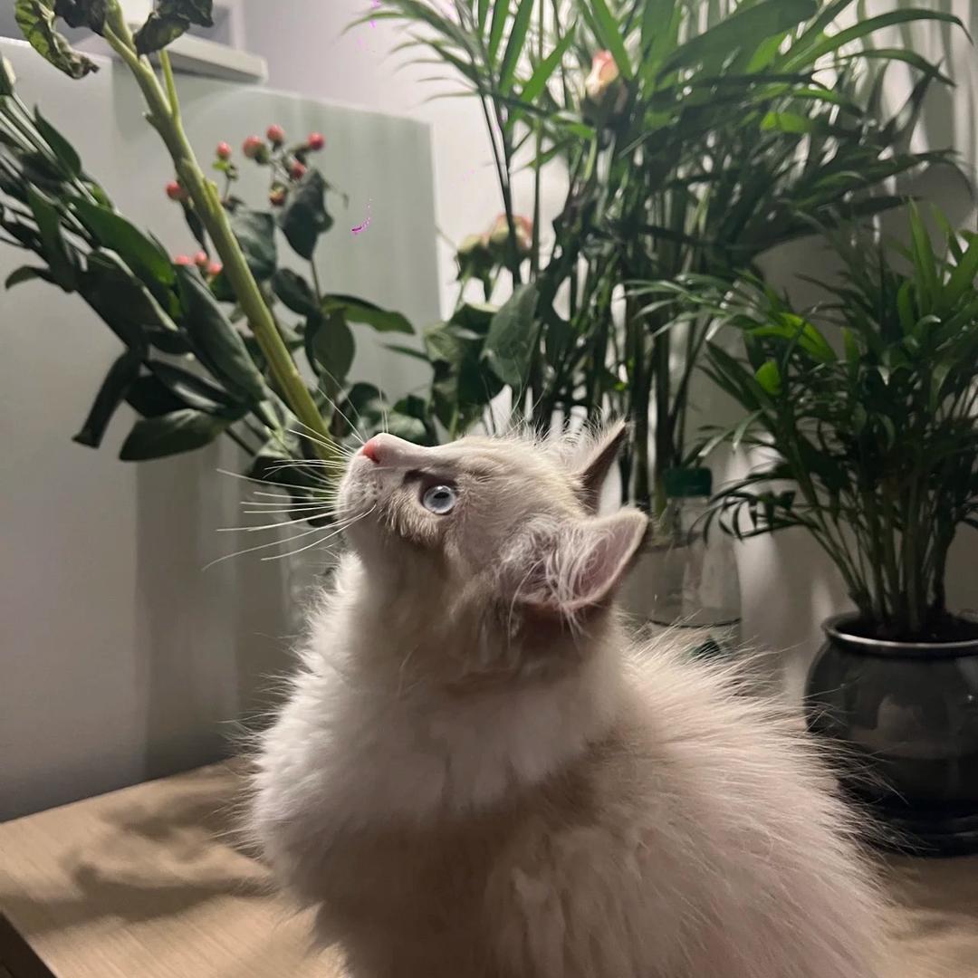 空调别滴水了害怕