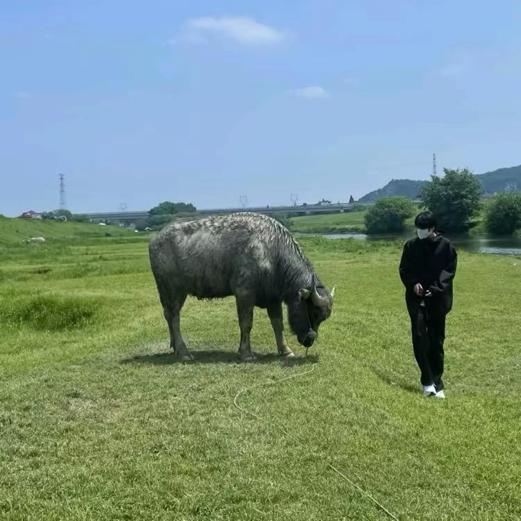 张英俊🍀
