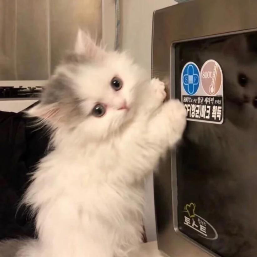 kiki