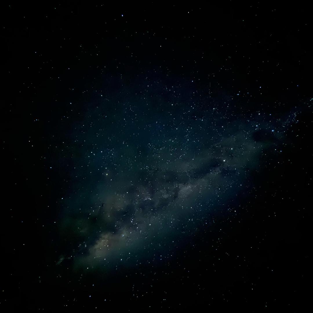 ……………