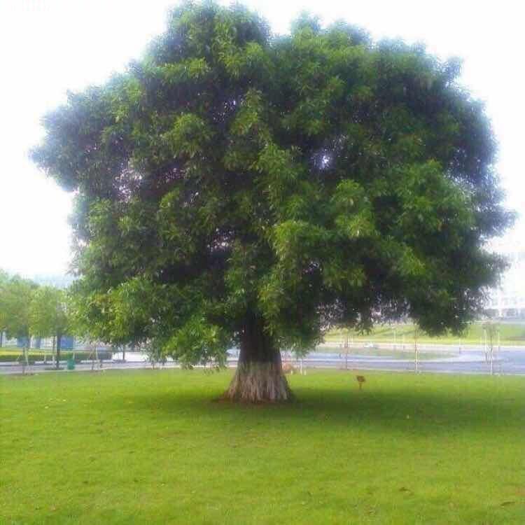 风雨人生路