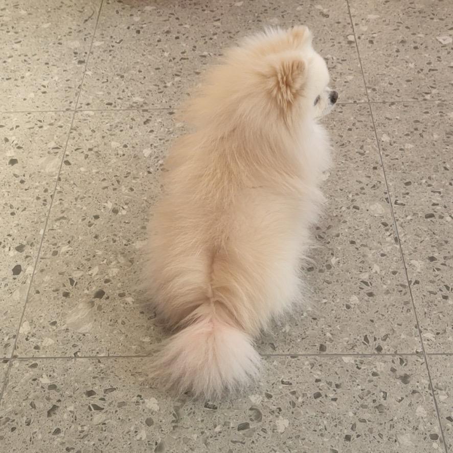 一薪一亿💕