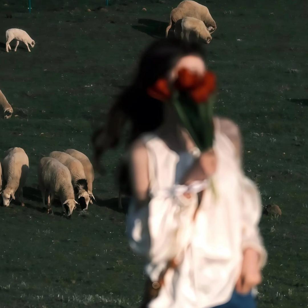 稀稀稀～罕你哦