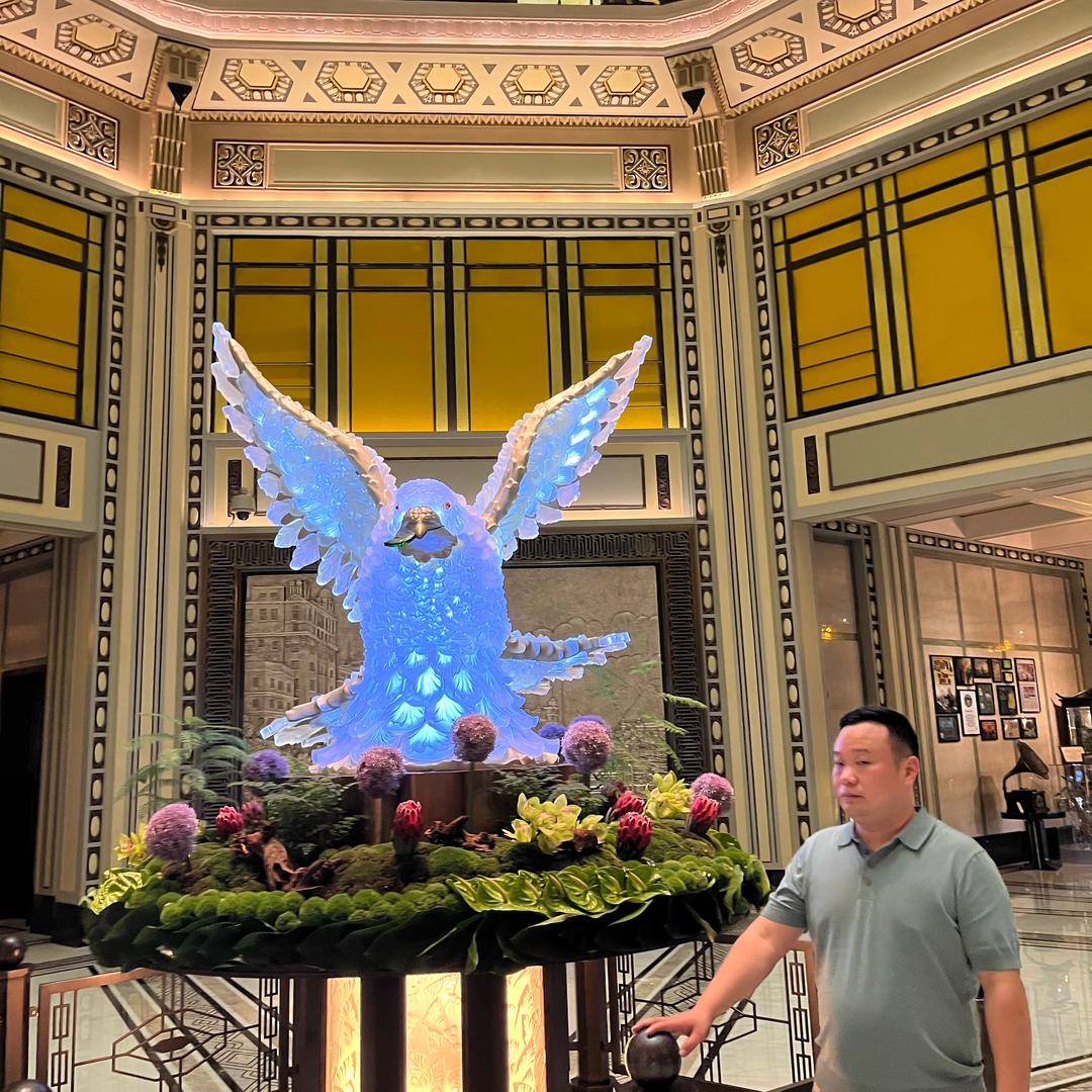 涛你欢心