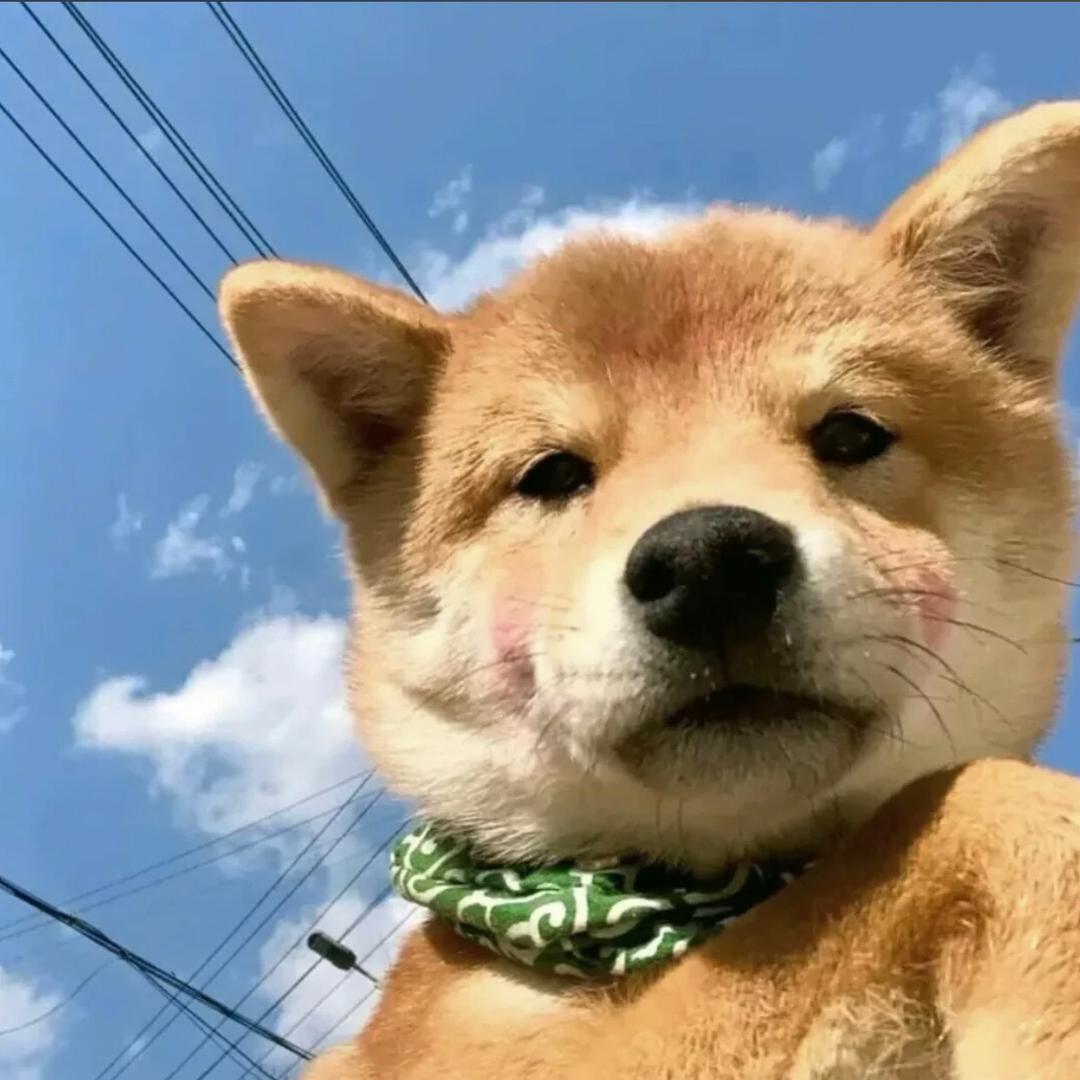 a陈