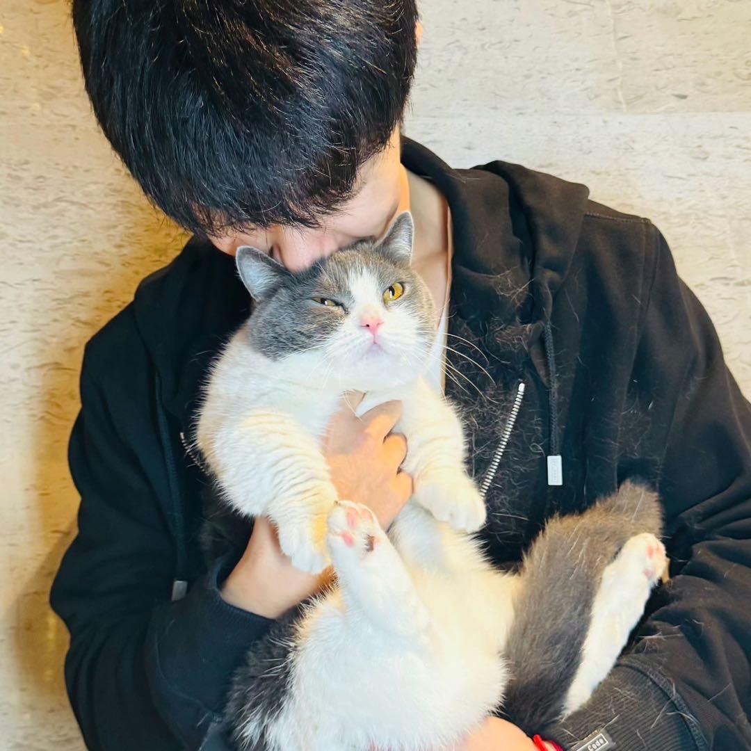 🐰肖兔兔丶