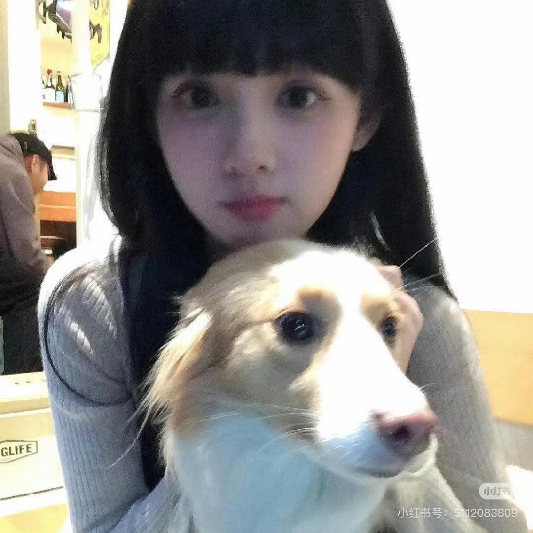 李虫虫