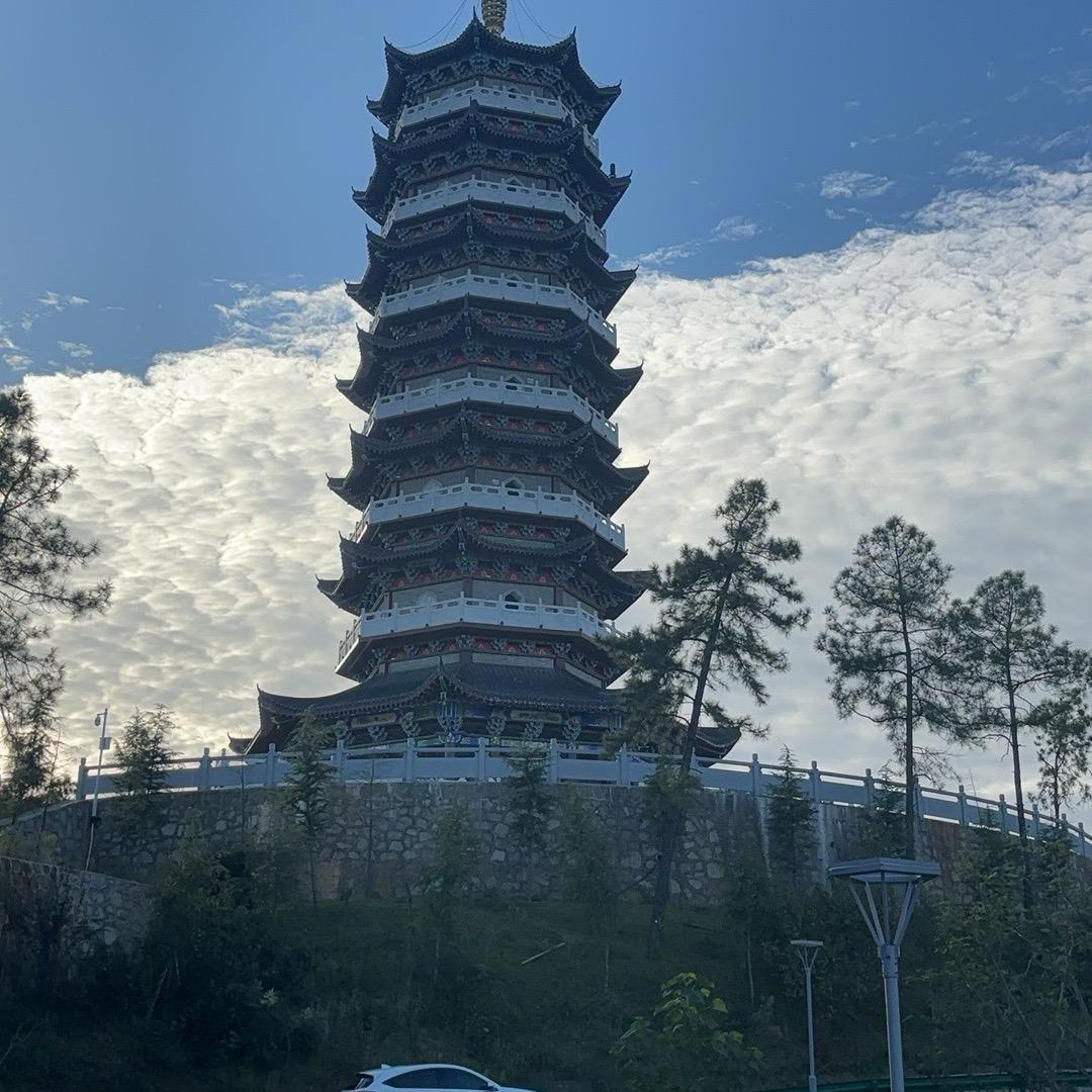 一个韭菜的自我修养