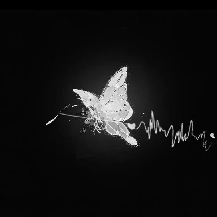 𝘿𝙤𝙫𝙚 🕊️ ⁹