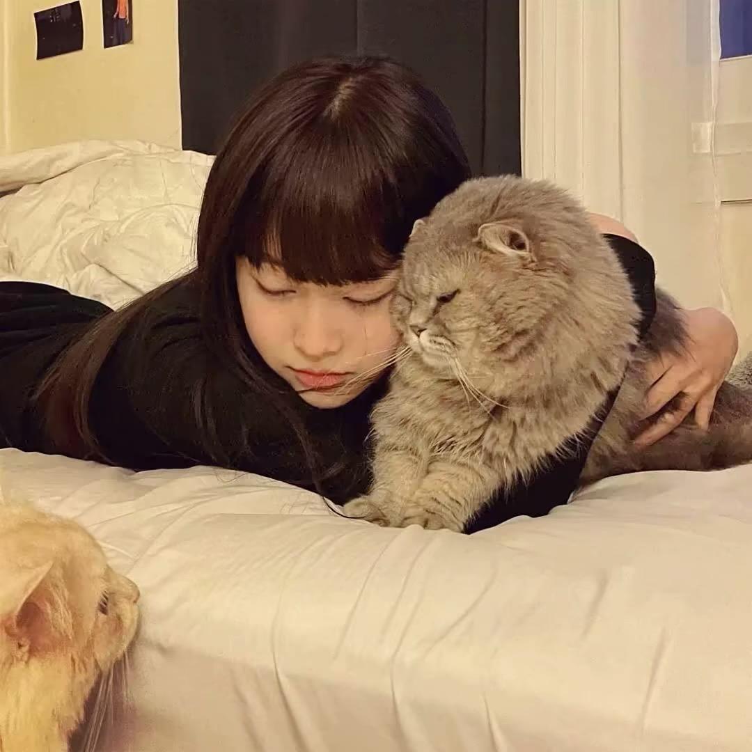 不和傻子过多交流