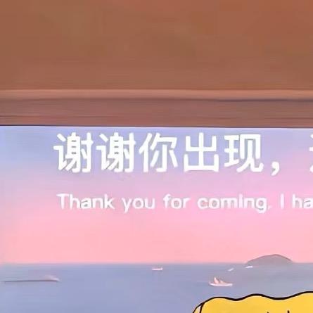 菲菲。。