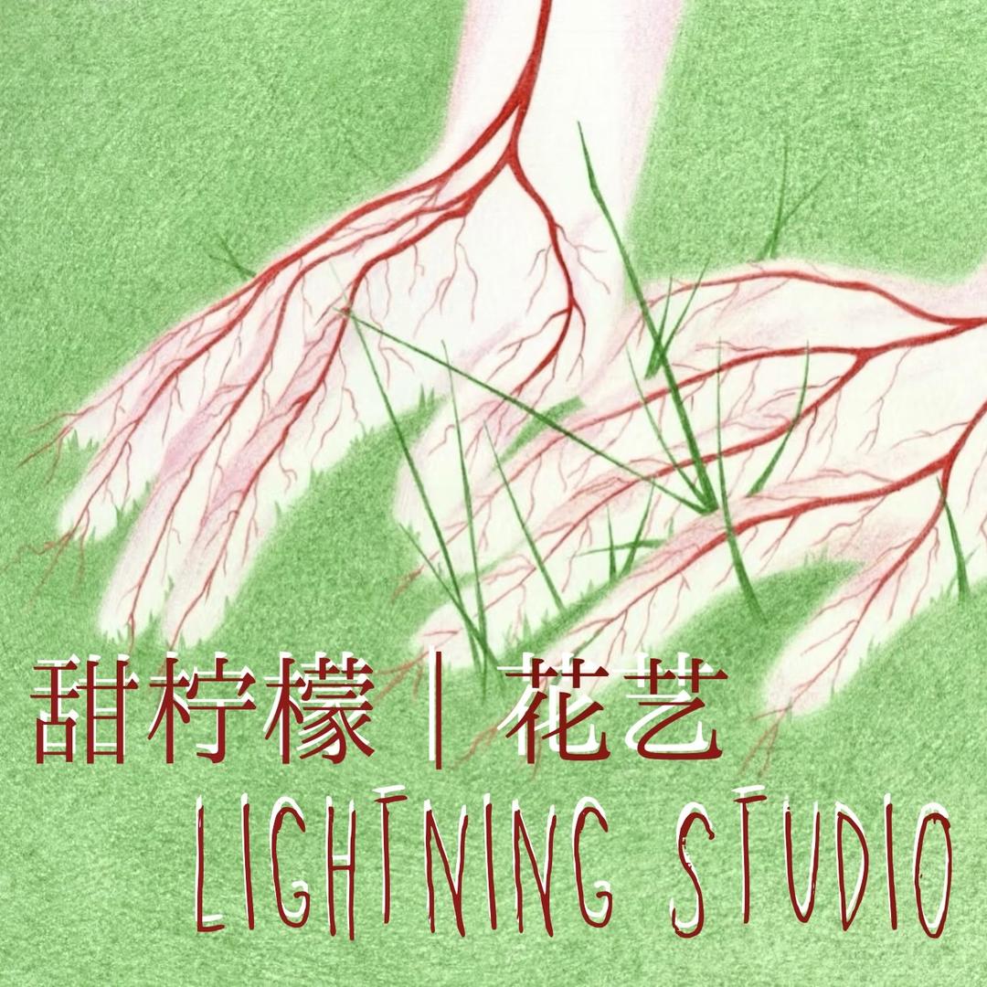 闪电⚡️