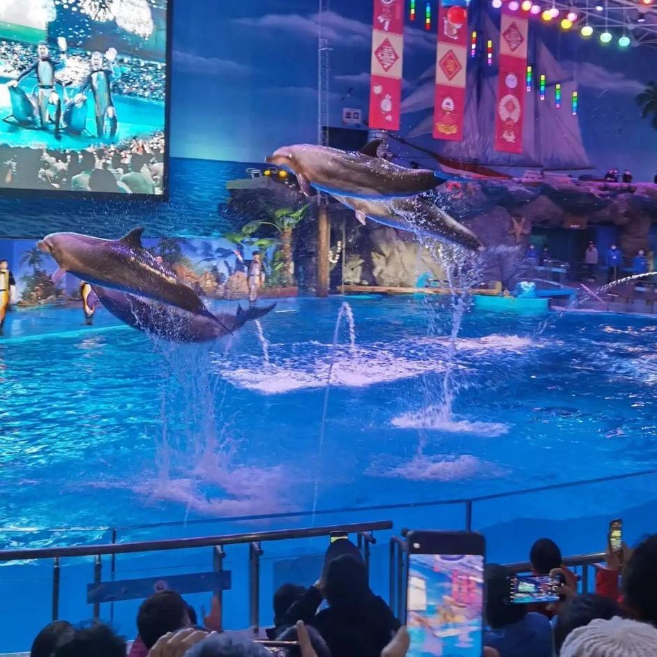 大连旅游团购达人
