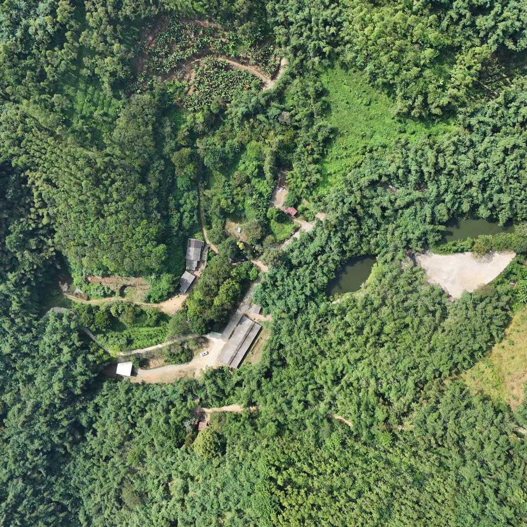 叙绿雅生态农场