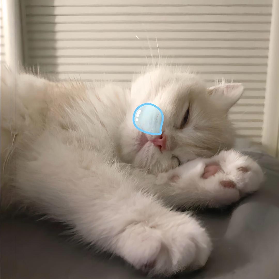 ㅤ ㅤ ㅤ ㅤ ㅤ ㅤ