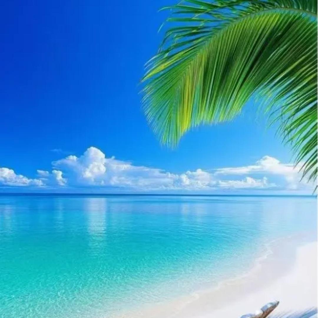 我只想静静的听歌