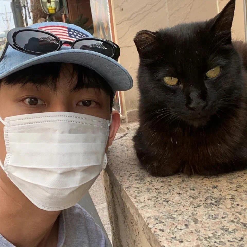 今天我是菠菜大王