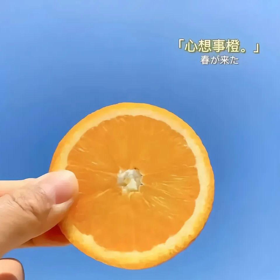 果然好