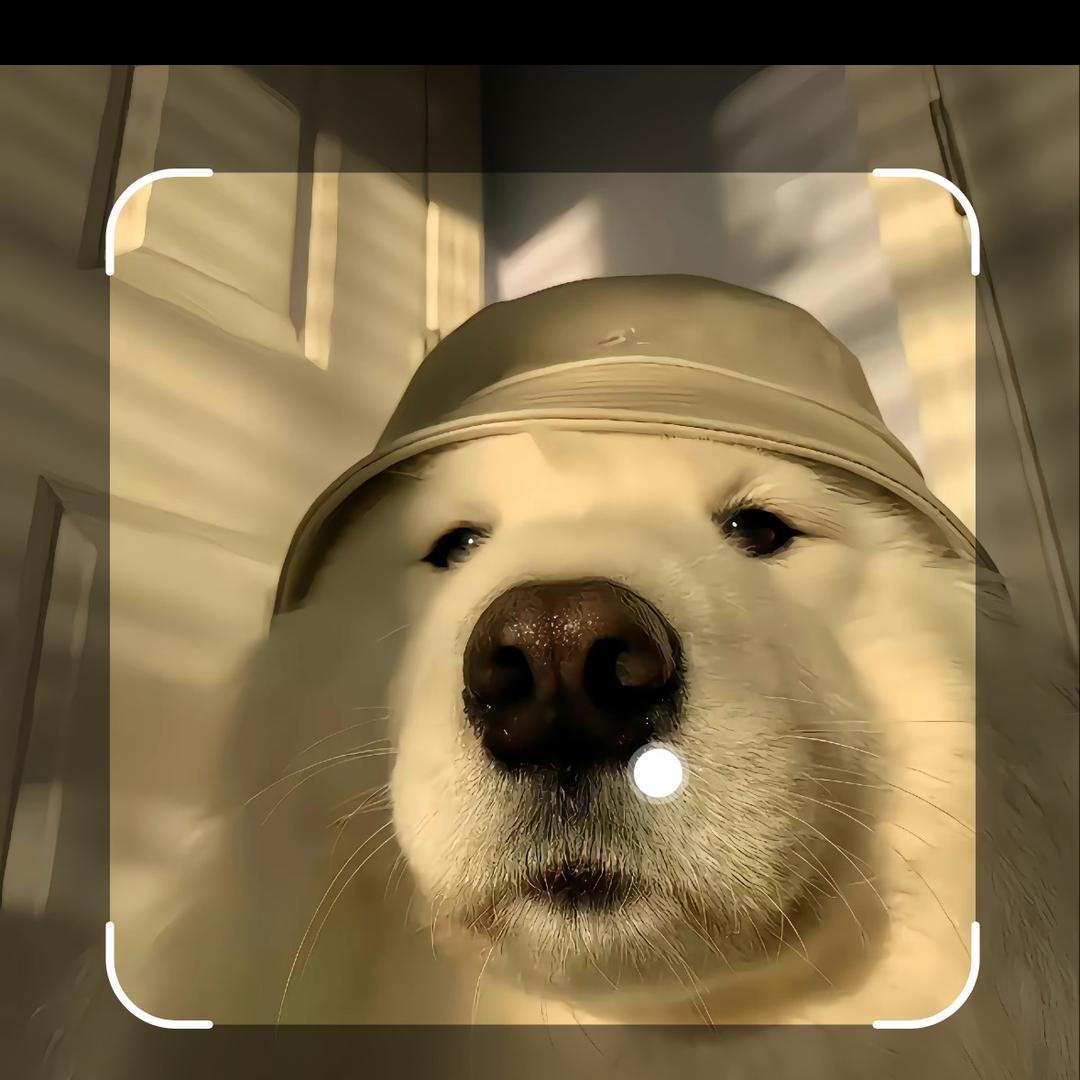 北苑