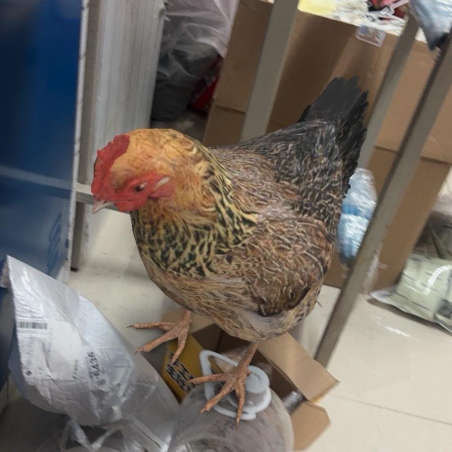 布鲁鲁