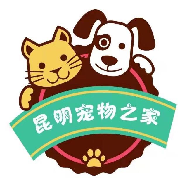 卖狗粮猫粮的大叔