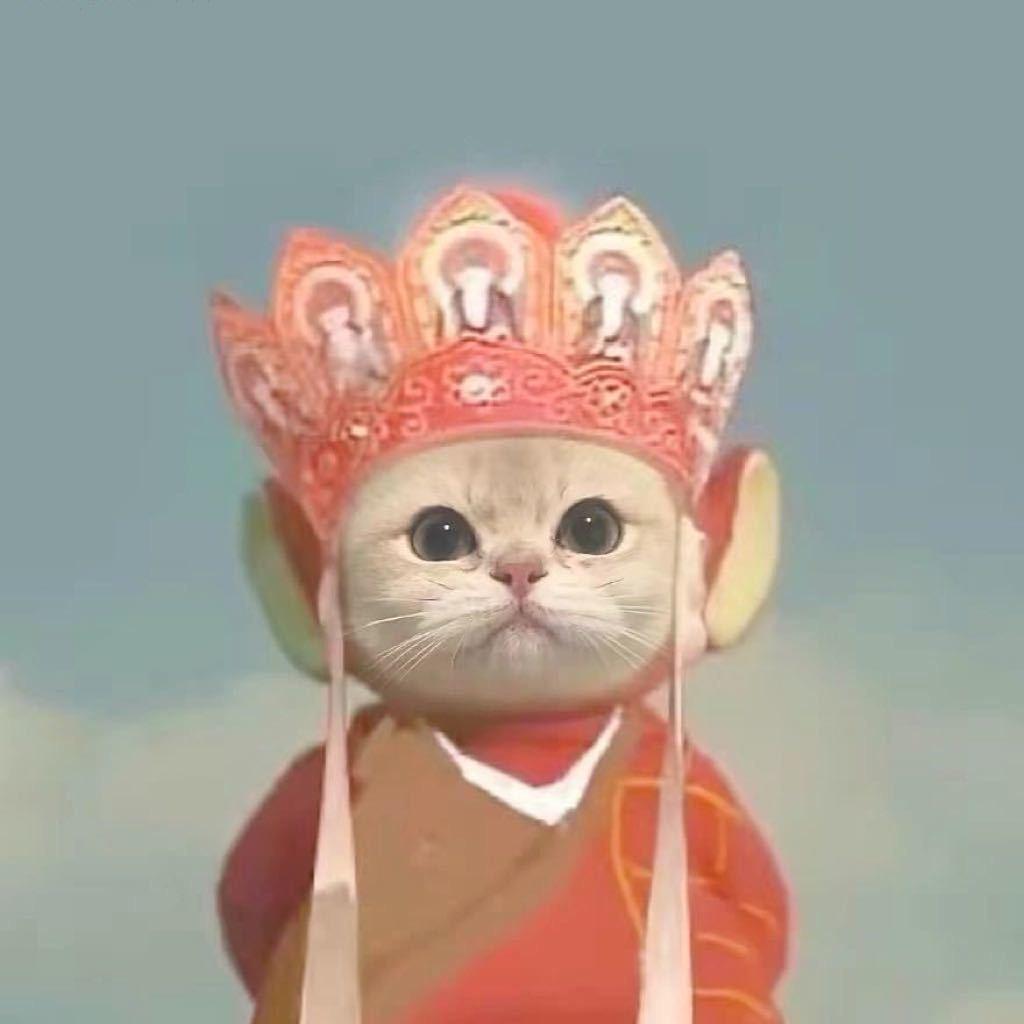 赵赵🐵