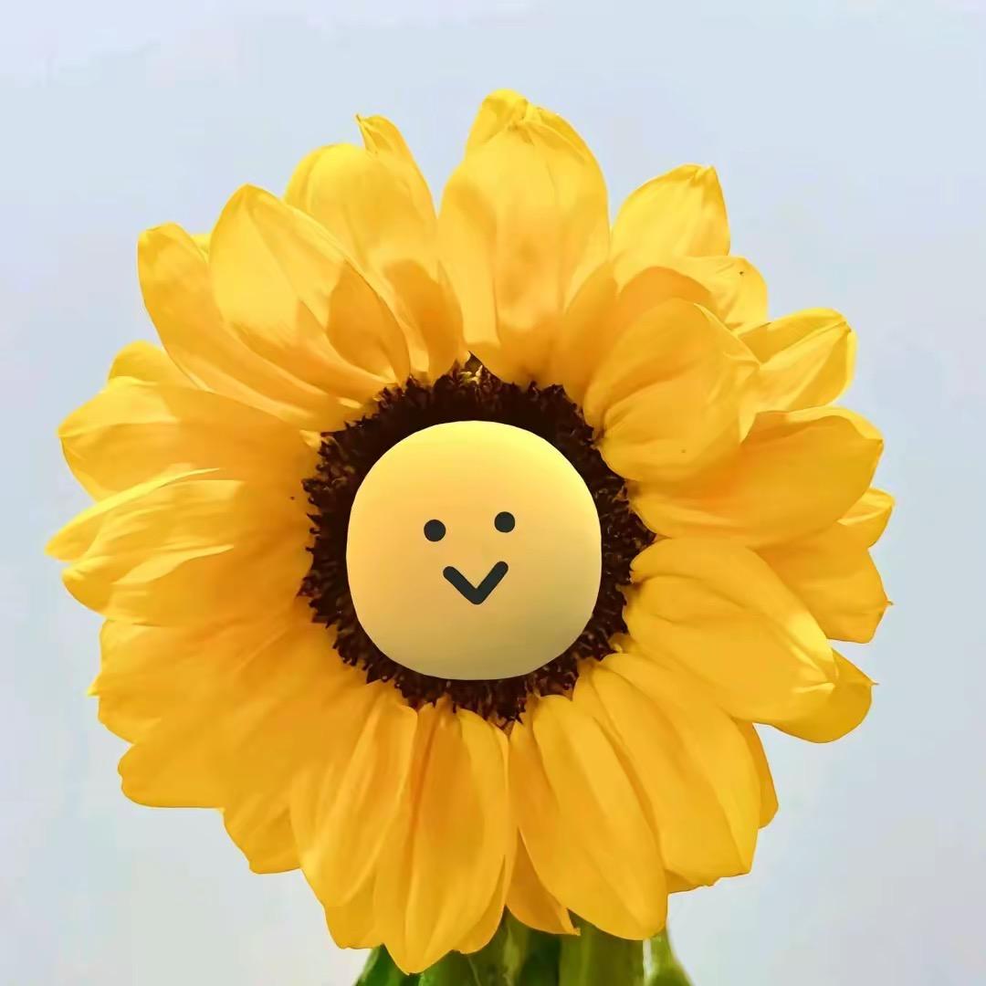 村里在逃翠花 ོ