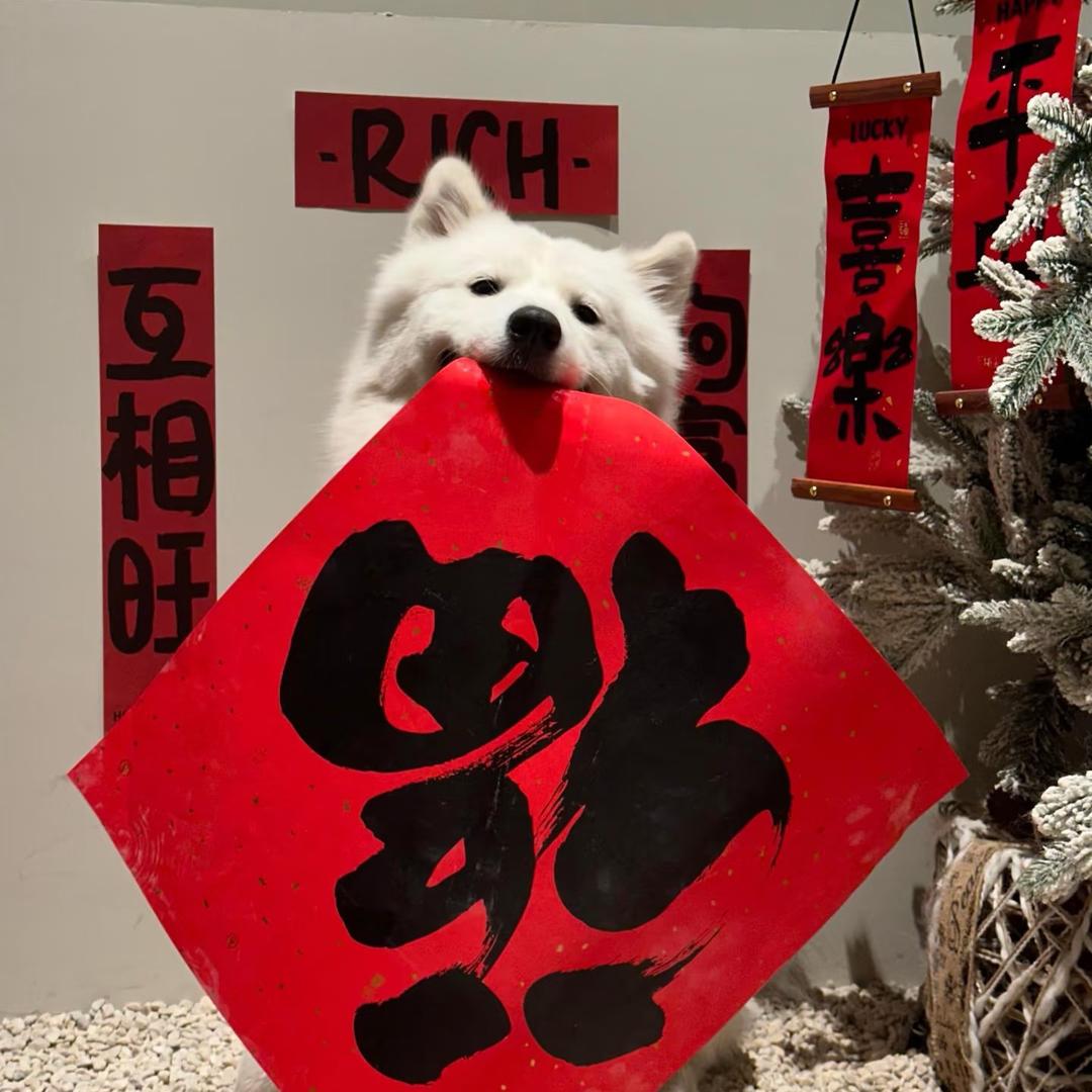 珊瑚