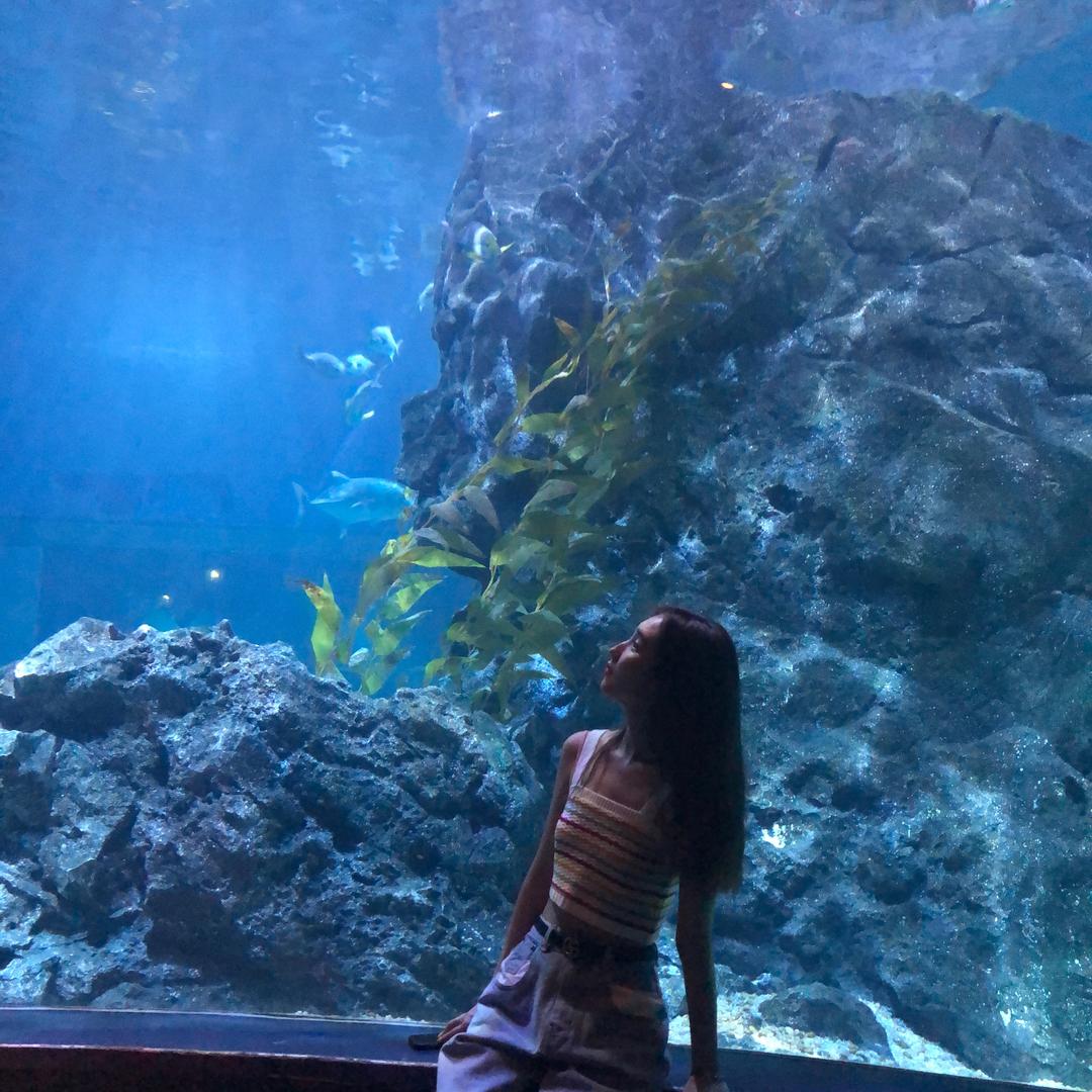 卖输送带的钢铁小老妹