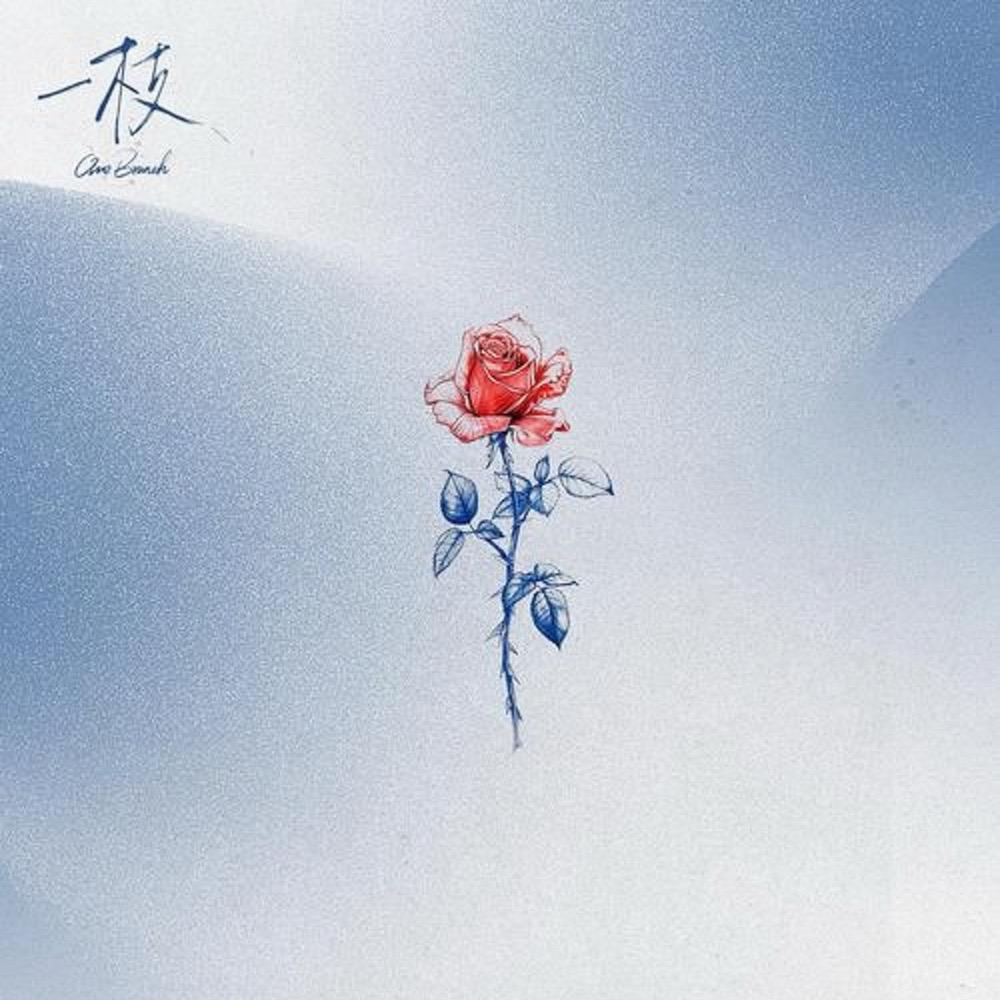 黑龙江甄选树莓