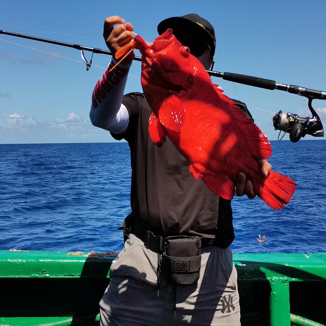 衡山搏渔路亚渔具