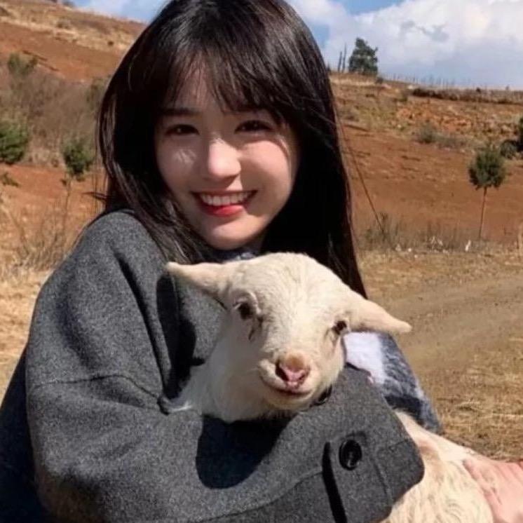 𝗖𝗮𝘁𝘁𝘆𝗹𝗹𝗼 🐱