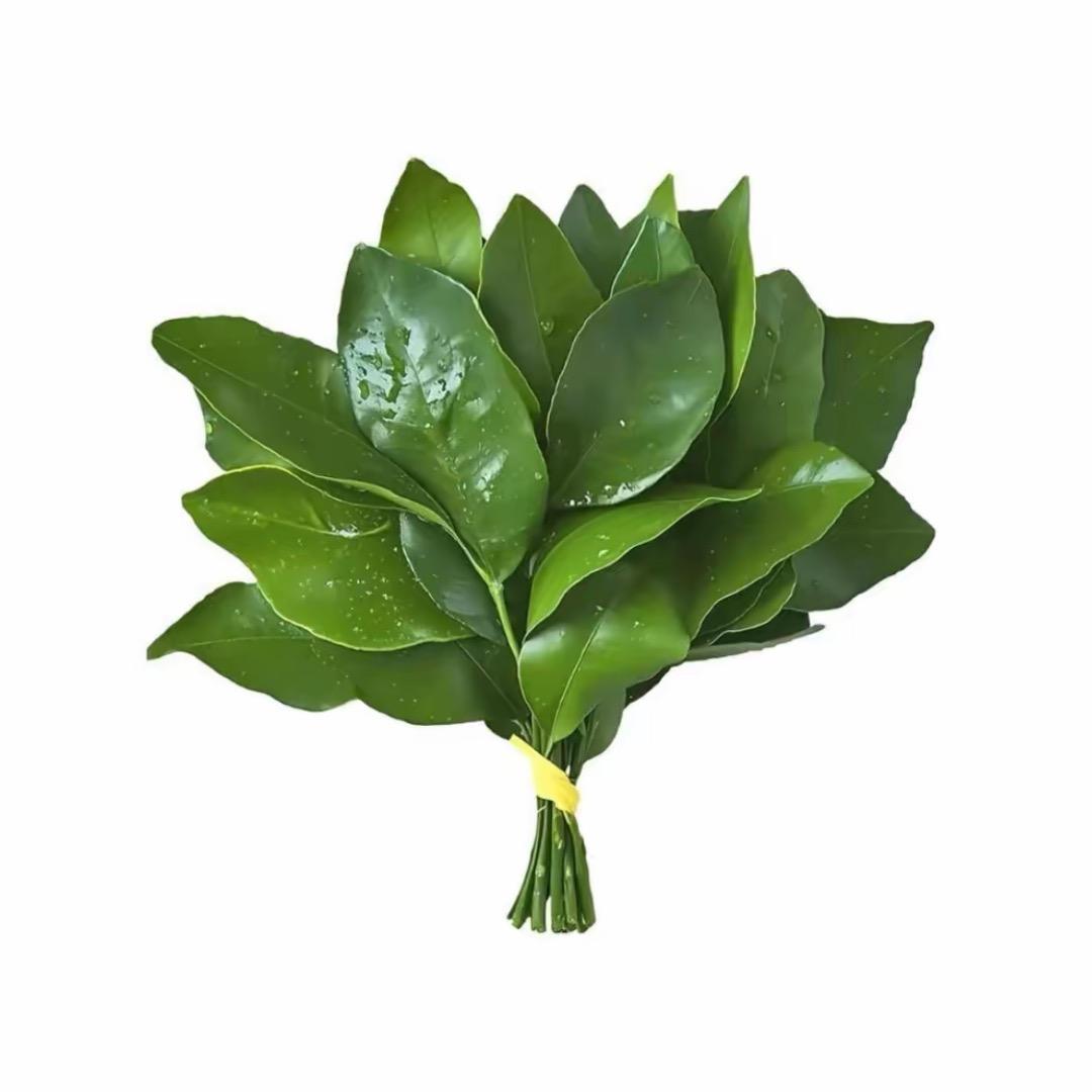 晶晶大王^