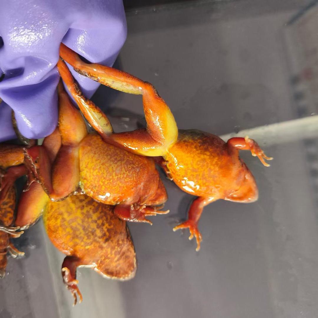 通河县洪雷山货行壹号铺