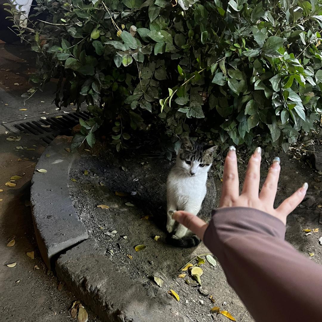 懋懋（我选肌肉）