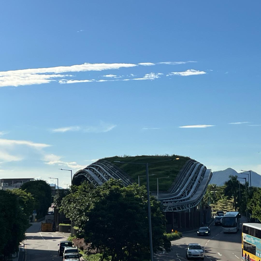 美港