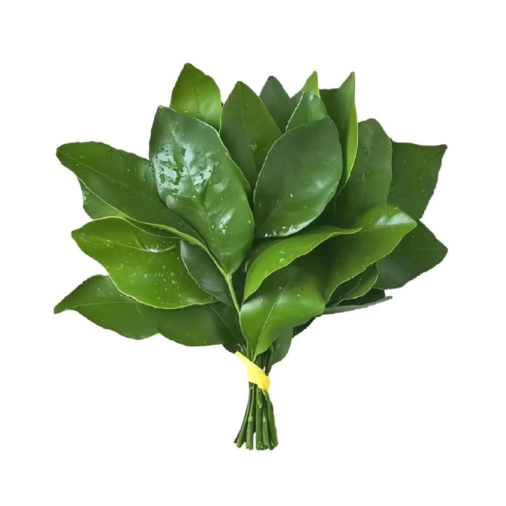 爱吃泡芙