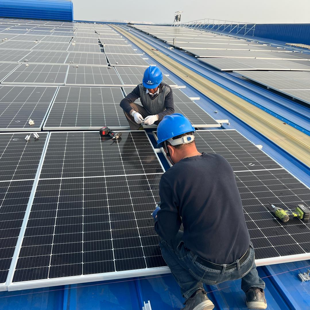 隆基—莫艺科技