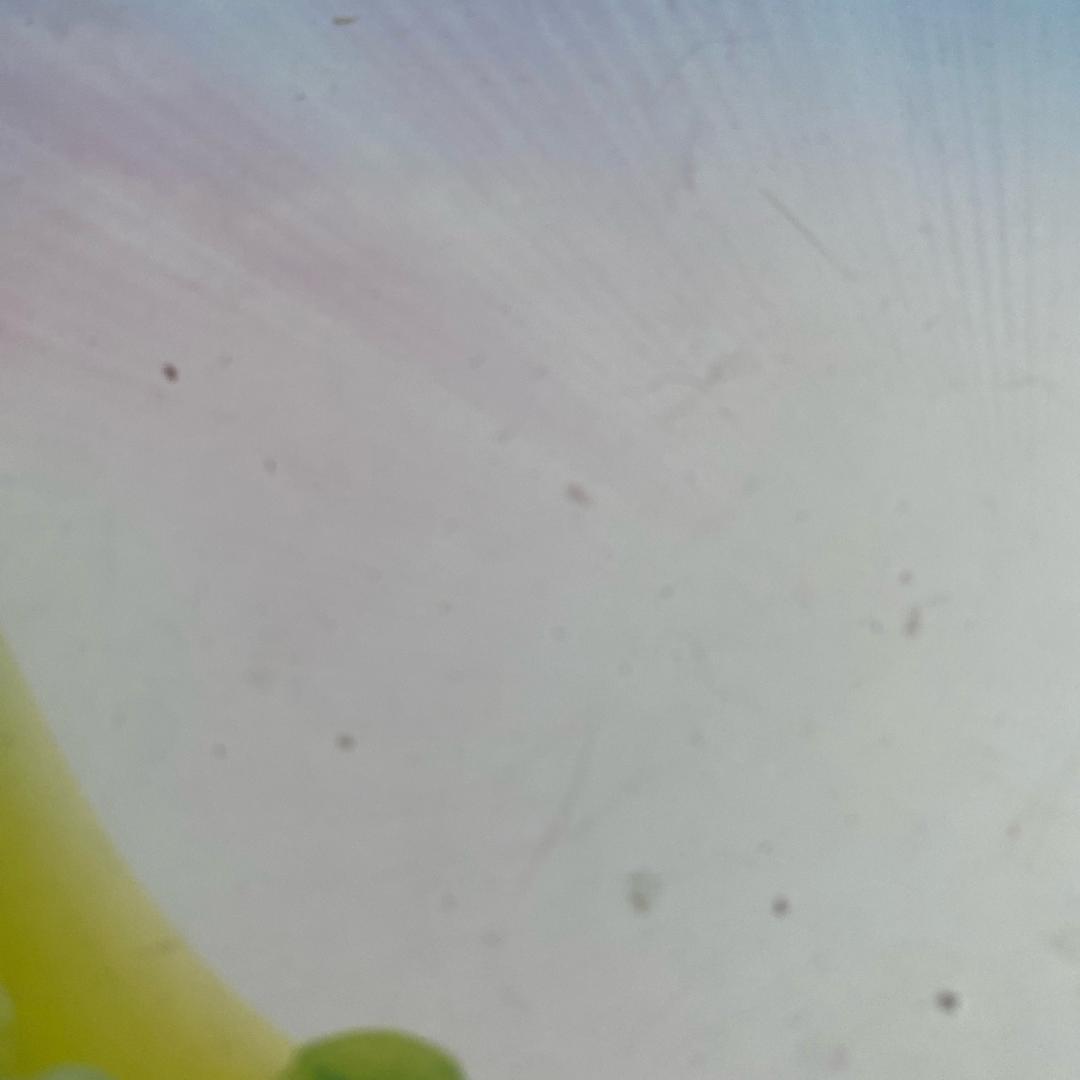用户6154381978