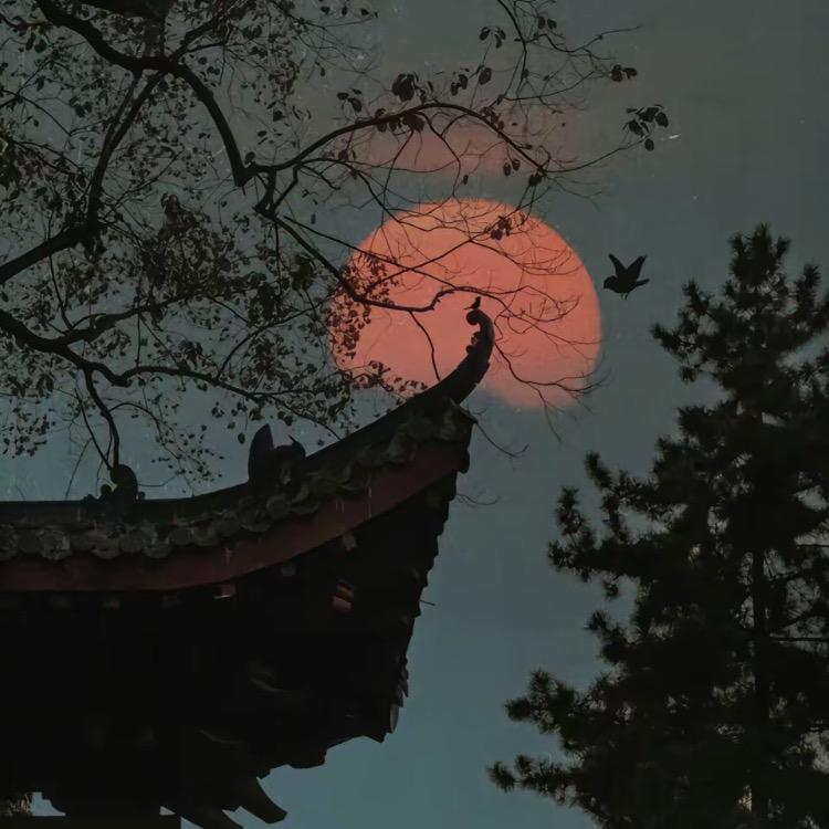 登顶家居（梯子晾衣架）