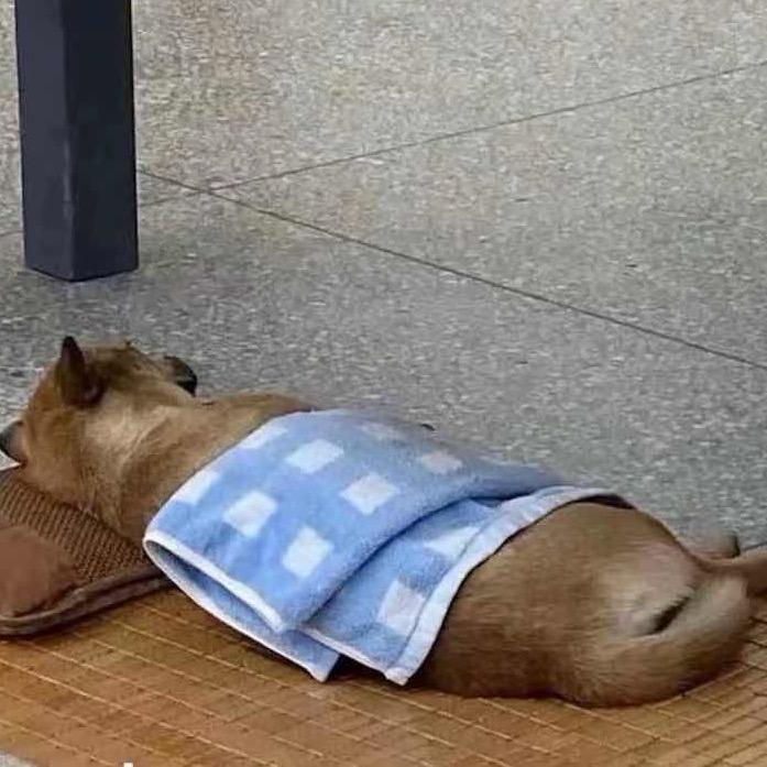 用户8378280021