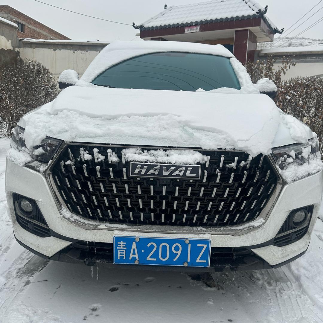 🤡无声👺贵爷🤡