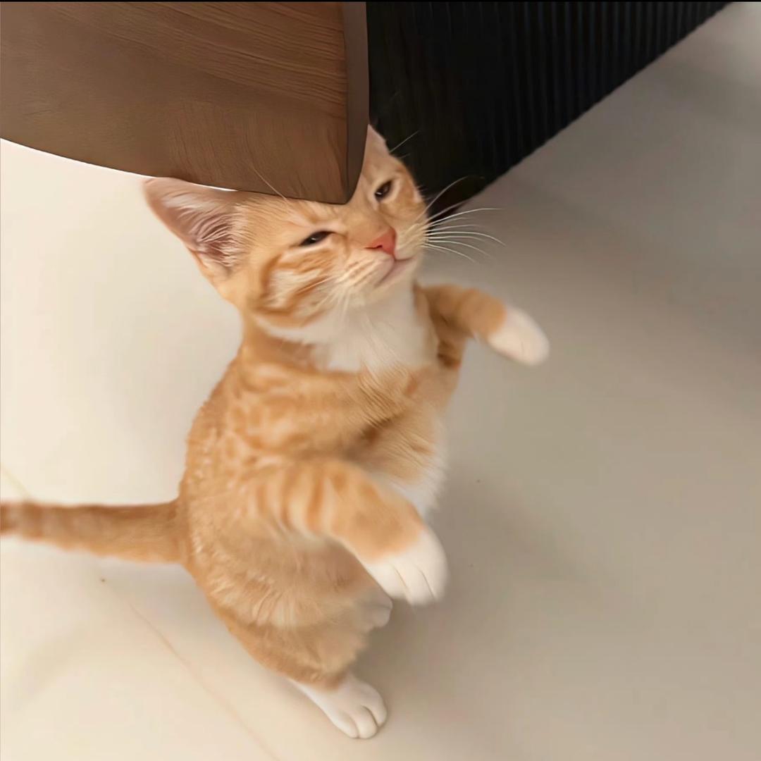 你头发乱了喔