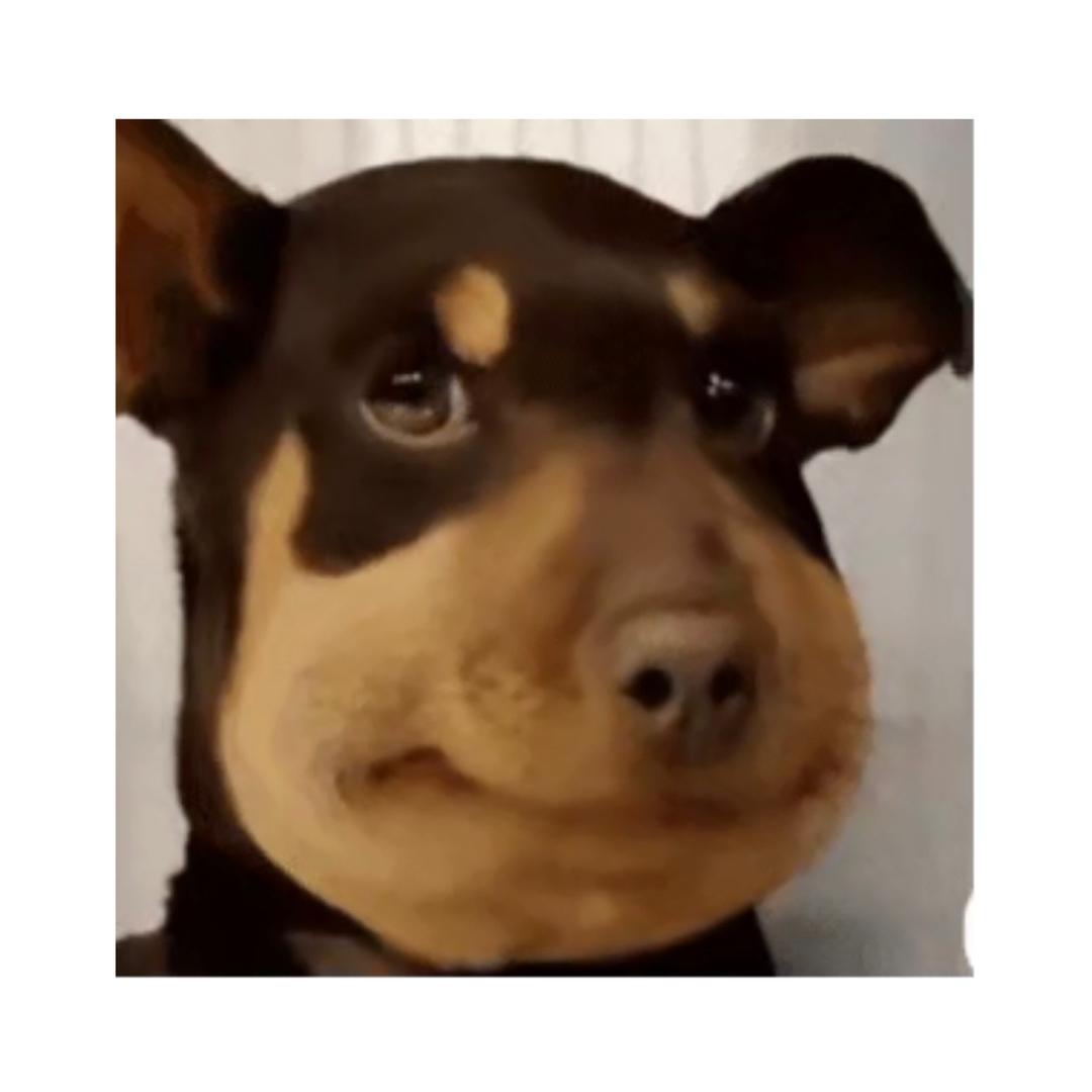 😃😃🙃